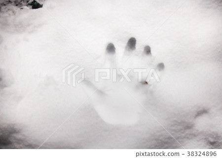Handprint Handprint 38324896