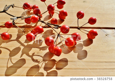 Sankirei麵條 38328758