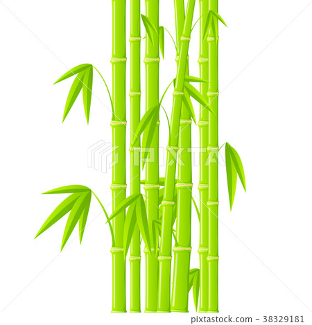 Stems of bamboo in simple style 38329181