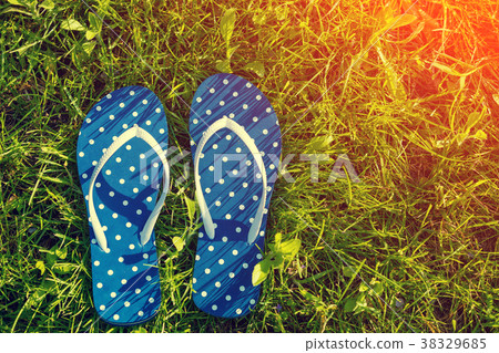 Flip flop sandals on a grass. Summertime 38329685
