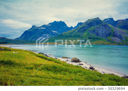 Fjord in rainy weather. Rocky beach in evening 38329694