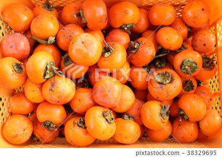 Harvested persimmon 38329695