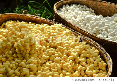 white and yellow cocoon in wood basket 38330213