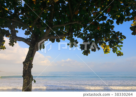 Jimbaran Beach in Bali 38330264