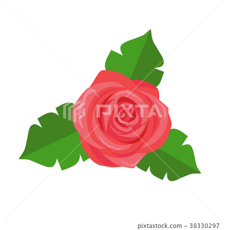 Rose Flower Green Leaves Vector Decorative Sticker Rose Flower Green Leaves Vector Decorative Sticker 38330297