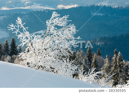 Winter mountain snowy landscape 38330505
