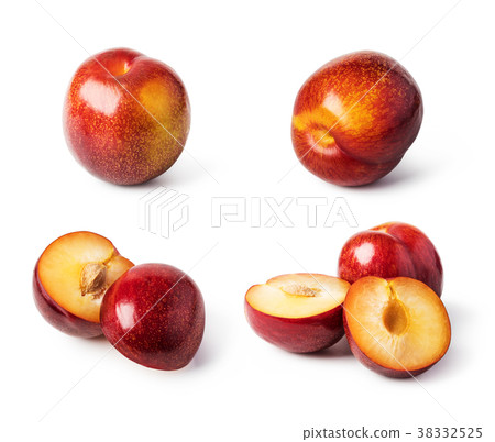 plum fruit 38332525