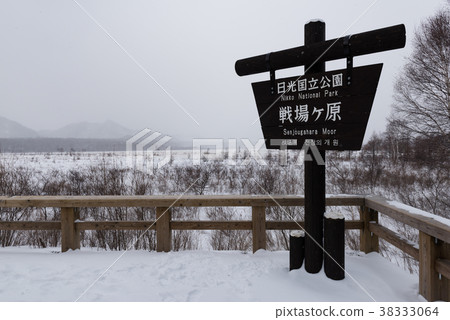 Senjogahara in winter 38333064