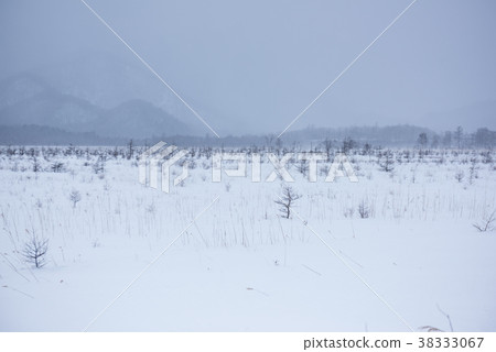 冬天的千疊原 冬天的千疊原 38333067