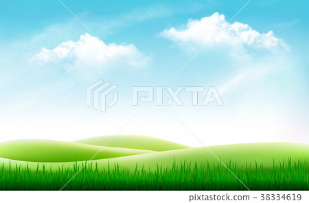 Nature summer background with green grass Nature summer background with green grass 38334619