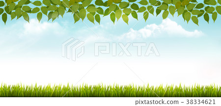Nature spring background with grass and leaves 38334621