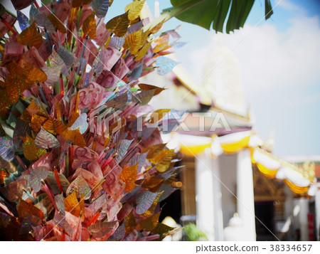 banknotes with gold and silver colour leaves tree banknotes with gold and silver colour leaves tree 38334657