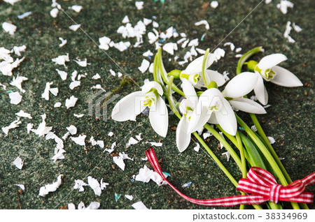 Fresh snowdrops buquet on stone background Fresh snowdrops buquet on stone background 38334969