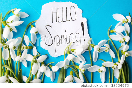 Hello spring note with fresh snowdrops Hello spring note with fresh snowdrops 38334973