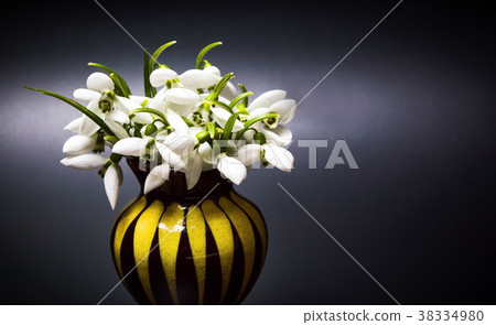 Snowdrop flowers in a vase on dark background Snowdrop flowers in a vase on dark background 38334980