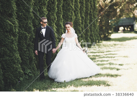 Beautiful young wedding couple is kissing and 38336640