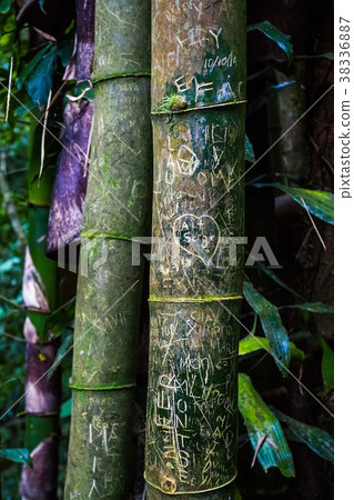 Xilitla ruins in Mexico 38336887