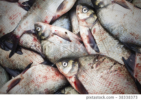 a bunch of frozen fish, bream, roach 38338373