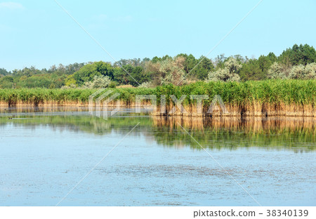 Summer iodine lake (Kherson Region, Ukraine). 38340139
