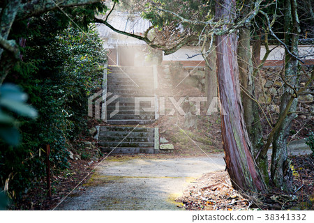Sun light Sun light 38341332