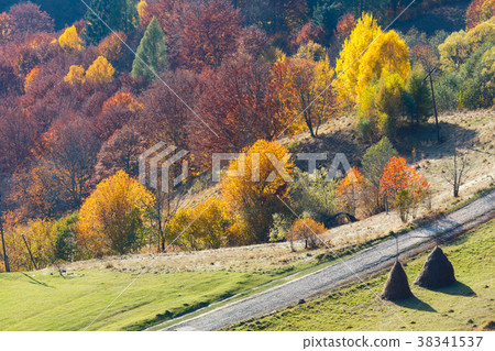 Dirty secondary road in autumn Carpathian mountain Dirty secondary road in autumn Carpathian mountain 38341537