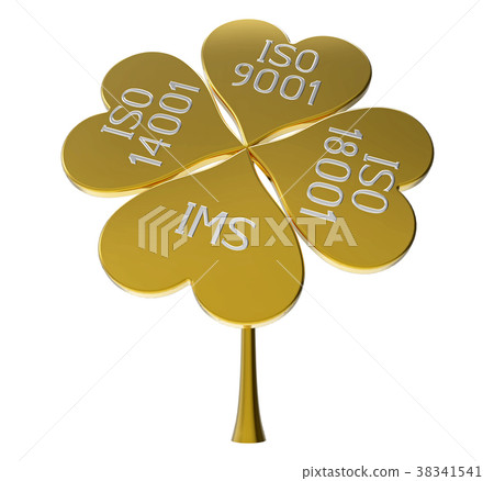 Integrated management system 38341541