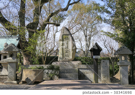 [Chihaya Akasakamura Kusunoki birthplace ruins] Chihaya Akasakamura, Osaka Prefecture 38341698