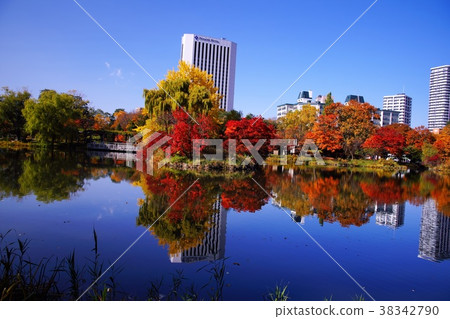 Nakajima Park在秋末 38342790