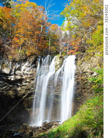 Luminous sparkle in late autumn 38343002