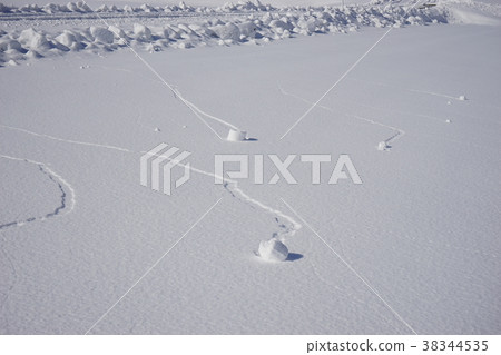 Snow turning Snow turning 38344535