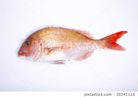 Food ingredients 38345118