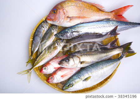 Assorted fish Assorted fish 38345196