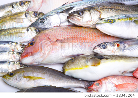 什錦魚 什錦魚 38345204