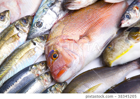 Assorted fish Assorted fish 38345205