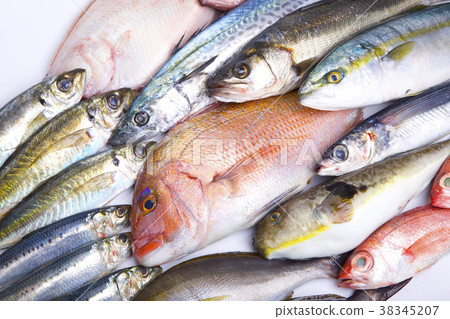 Assorted fish 38345207