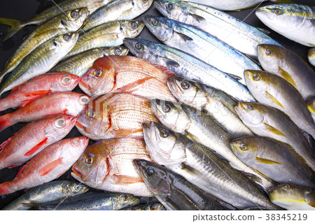 Assorted fish 38345219