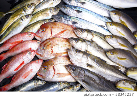 Assorted fish 38345237