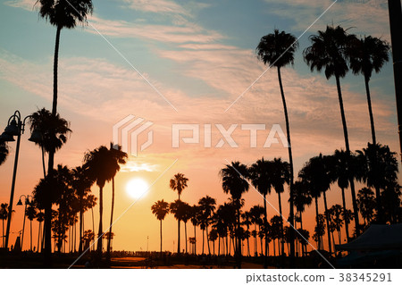 LA Venice Beach LA Venice Beach 38345291