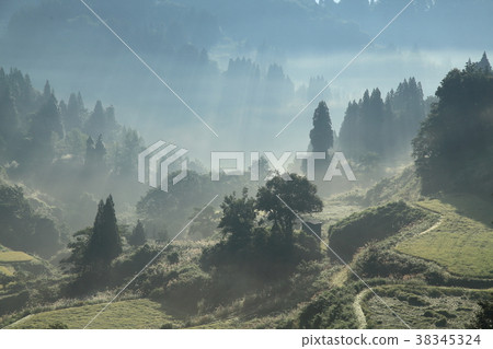  Gamo的水稻梯田 38345324