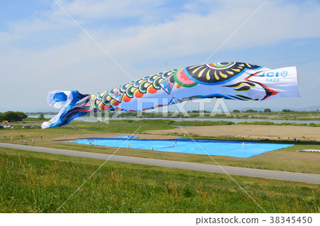 Jumbo Koinobori（Tonegawa Riverside Green Park /埼玉加賀市） 38345450