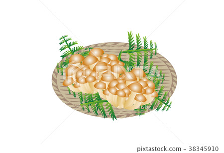 Mountain delicacies various nameko Mountain delicacies various nameko 38345910