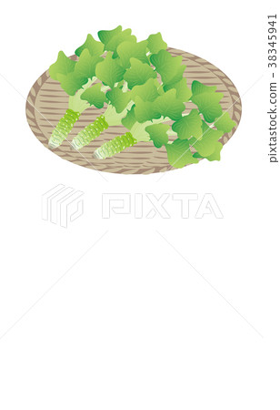 山楂種類繁多 山楂種類繁多 38345941