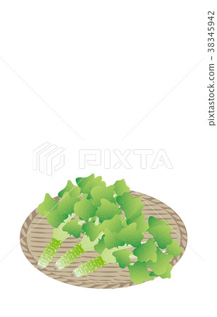 Mountain variety of wasabi 38345942