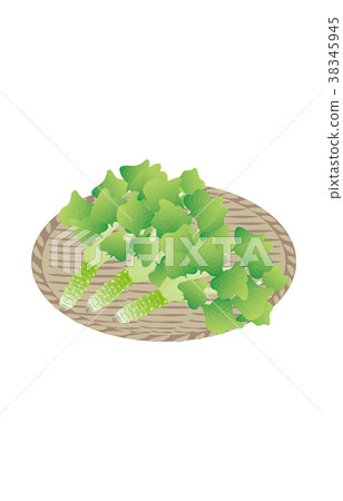 山楂種類繁多 38345945