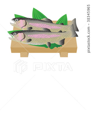 山鱒各種鱒魚 38345965