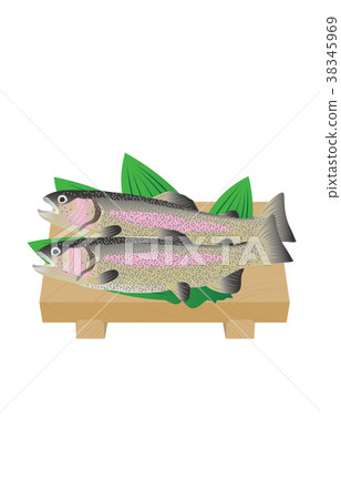 Mountain trout various trout Mountain trout various trout 38345969