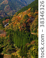 Autumn leaves tree line 38346326