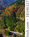 Autumn leaves tree secondary line 2 38346327