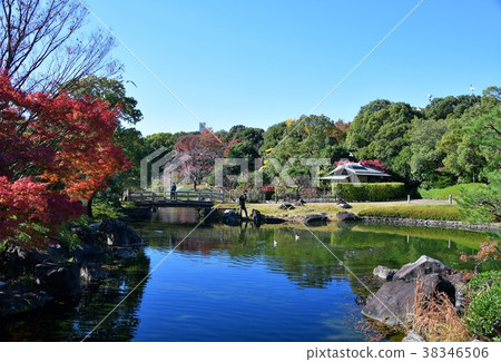 Autumn swan garden 38346506