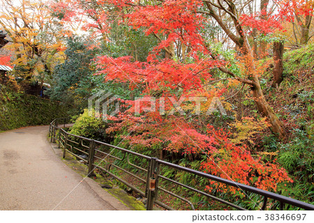 Three thousand houses of autumn leaves Three thousand houses of autumn leaves 38346697